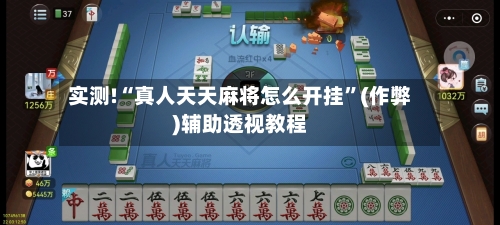 实测!“真人天天麻将怎么开挂”(作弊)辅助透视教程-第3张图片