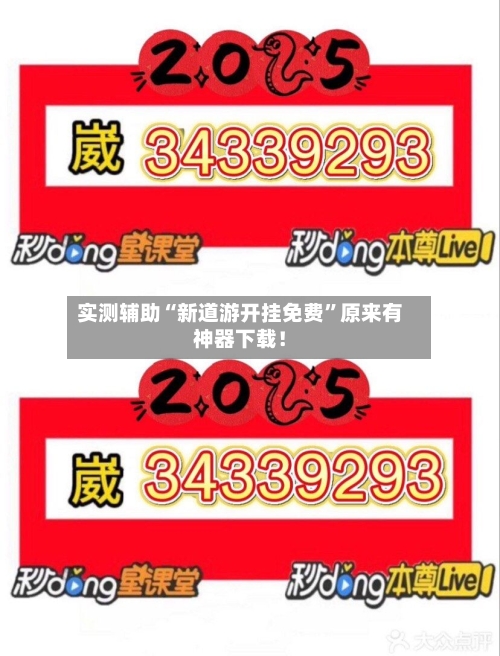 实测辅助“新道游开挂免费”原来有神器下载！