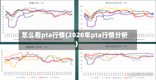 怎么看pta行情(2020年pta行情分析)-第2张图片