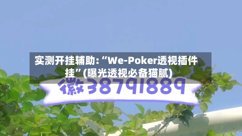 实测开挂辅助:“We-Poker透视插件挂”(曝光透视必备猫腻)