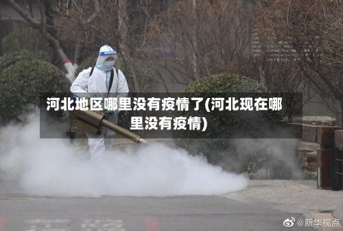 河北地区哪里没有疫情了(河北现在哪里没有疫情)-第2张图片