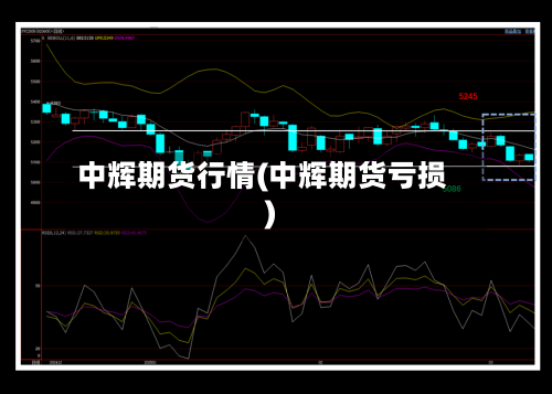 中辉期货行情(中辉期货亏损)-第3张图片