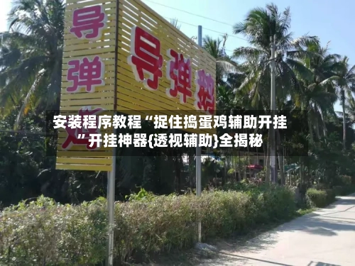 安装程序教程“捉住捣蛋鸡辅助开挂”开挂神器{透视辅助}全揭秘
