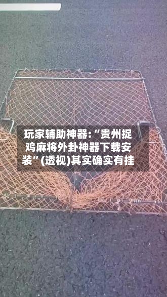 玩家辅助神器:“贵州捉鸡麻将外卦神器下载安装”(透视)其实确实有挂-第2张图片