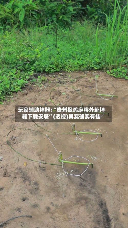 玩家辅助神器:“贵州捉鸡麻将外卦神器下载安装”(透视)其实确实有挂-第3张图片