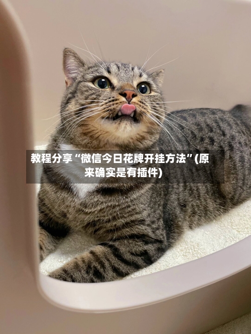 教程分享“微信今日花牌开挂方法”(原来确实是有插件)-第2张图片