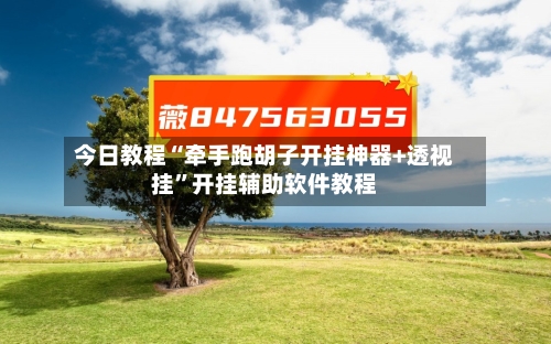 今日教程“牵手跑胡子开挂神器+透视挂”开挂辅助软件教程-第2张图片