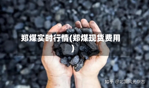 郑煤实时行情(郑煤现货费用)