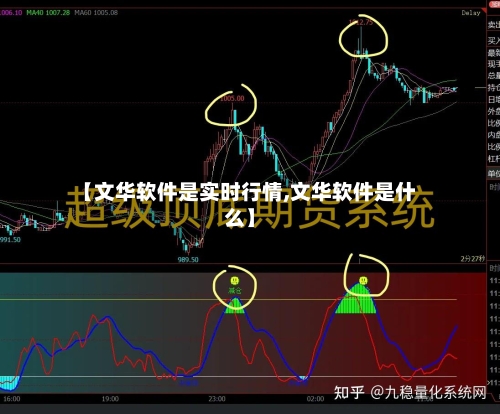 【文华软件是实时行情,文华软件是什么】-第2张图片