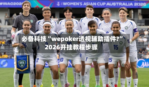 必备科技“wepoker透视辅助插件?”2026开挂教程步骤-第3张图片
