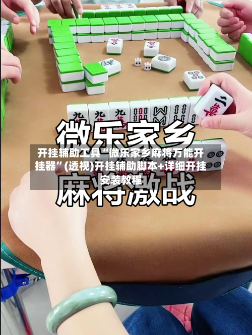 开挂辅助工具“微乐家乡麻将万能开挂器”(透视)开挂辅助脚本+详细开挂安装教程-第3张图片
