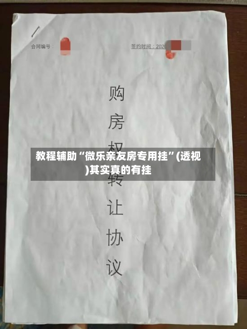 教程辅助“微乐亲友房专用挂”(透视)其实真的有挂