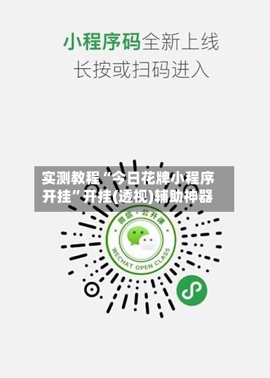 实测教程“今日花牌小程序开挂”开挂(透视)辅助神器-第2张图片