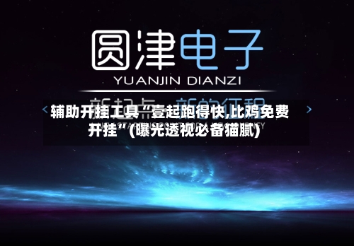 辅助开挂工具“壹起跑得快,比鸡免费开挂”(曝光透视必备猫腻)-第3张图片