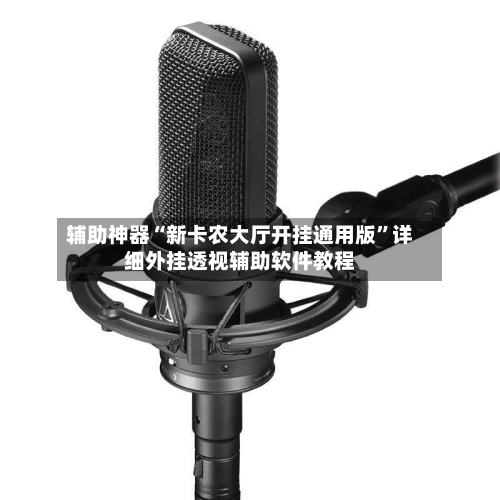 辅助神器“新卡农大厅开挂通用版”详细外挂透视辅助软件教程-第3张图片