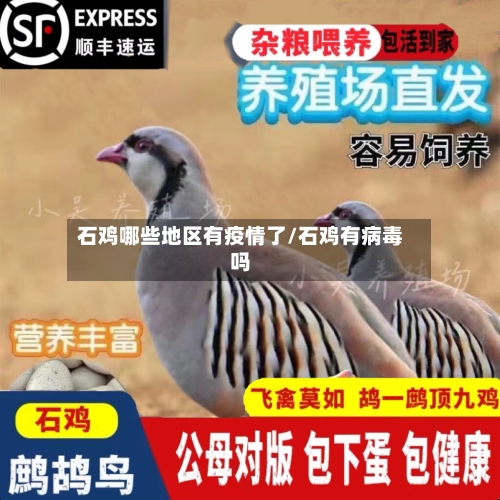 石鸡哪些地区有疫情了/石鸡有病毒吗