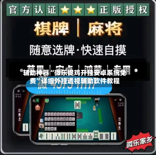 辅助神器“微乐捉鸡开挂安卓系统免费”详细外挂透视辅助软件教程-第2张图片