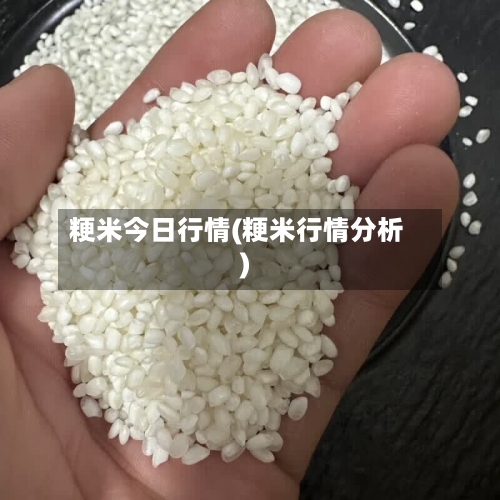 粳米今日行情(粳米行情分析)