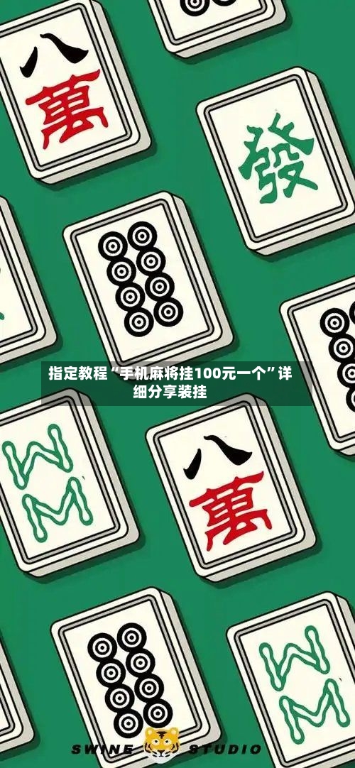 指定教程“手机麻将挂100元一个”详细分享装挂-第3张图片