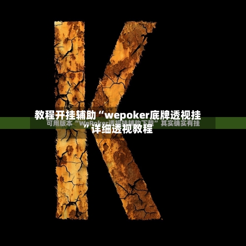 教程开挂辅助“wepoker底牌透视挂	”详细透视教程-第2张图片