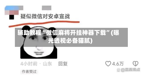 辅助教程“微信麻将开挂神器下载”(曝光透视必备猫腻)-第2张图片