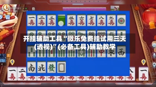 开挂辅助工具“微乐免费挂试用三天(透视)”(必备工具)辅助教学-第3张图片