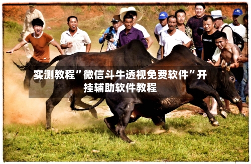 实测教程”微信斗牛透视免费软件	”开挂辅助软件教程-第2张图片