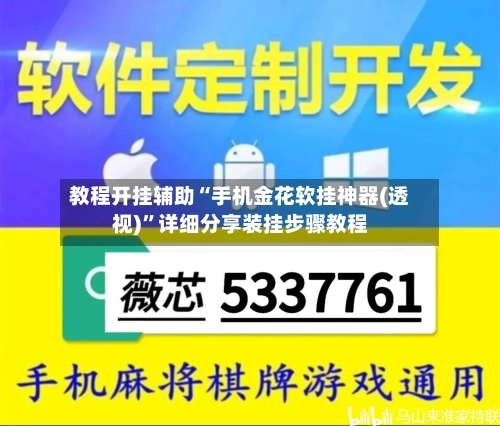 教程开挂辅助“手机金花软挂神器(透视)”详细分享装挂步骤教程-第2张图片