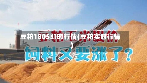 豆粕1805即时行情(豆粕实时行情)