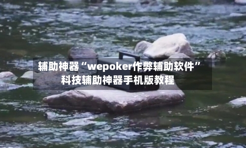 辅助神器“wepoker作弊辅助软件”科技辅助神器手机版教程-第3张图片