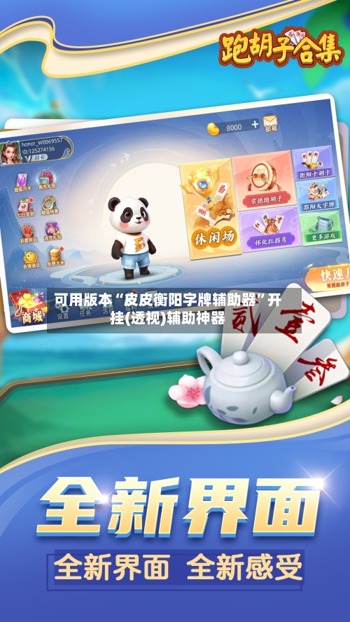 可用版本“皮皮衡阳字牌辅助器”开挂(透视)辅助神器-第2张图片