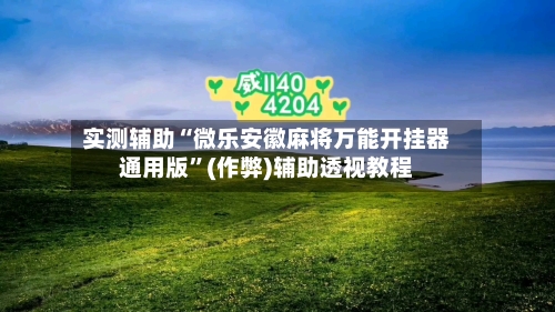 实测辅助“微乐安徽麻将万能开挂器通用版”(作弊)辅助透视教程-第3张图片