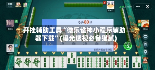开挂辅助工具“微乐雀神小程序辅助器下载”(曝光透视必备猫腻)