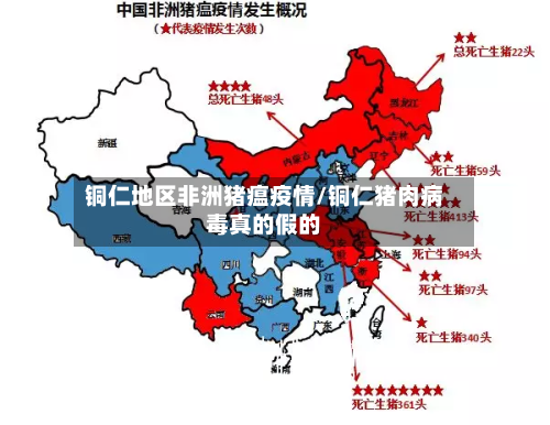 铜仁地区非洲猪瘟疫情/铜仁猪肉病毒真的假的-第2张图片