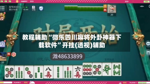 教程辅助“微乐四川麻将外卦神器下载软件”开挂(透视)辅助-第2张图片