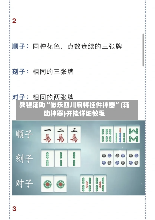 教程辅助“微乐四川麻将挂件神器	”(辅助神器)开挂详细教程-第2张图片