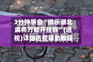 3分钟学会“微乐湖北麻将万能开挂器”(透视)详细透视辅助教程-第3张图片