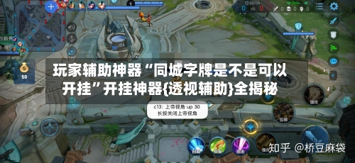 玩家辅助神器“同城字牌是不是可以开挂”开挂神器{透视辅助}全揭秘-第2张图片