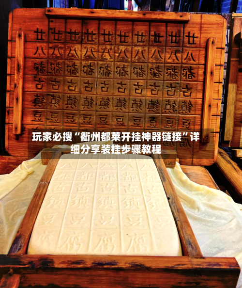 玩家必搜“衢州都莱开挂神器链接”详细分享装挂步骤教程-第3张图片