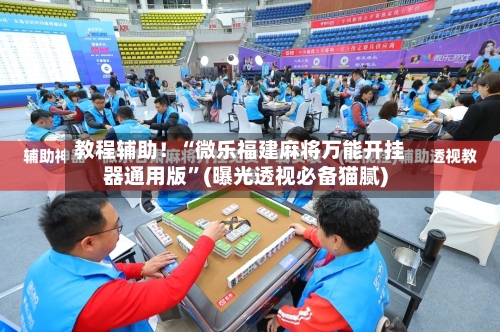 教程辅助！“微乐福建麻将万能开挂器通用版”(曝光透视必备猫腻)-第2张图片