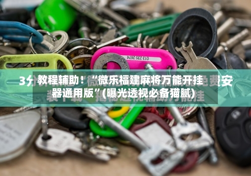 教程辅助！“微乐福建麻将万能开挂器通用版”(曝光透视必备猫腻)