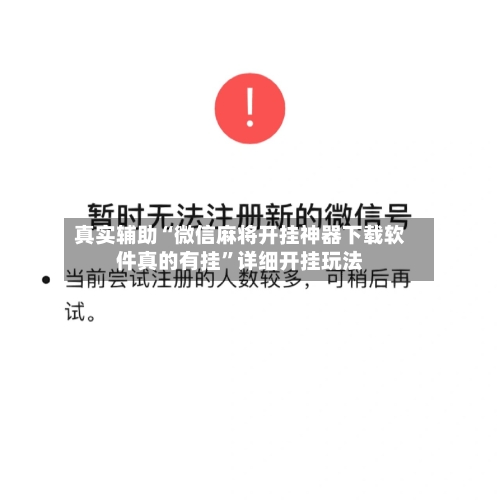 真实辅助“微信麻将开挂神器下载软件真的有挂	”详细开挂玩法-第2张图片