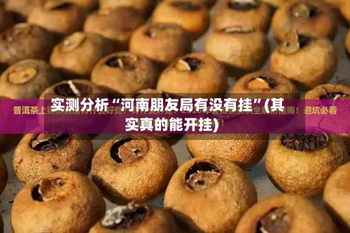 实测分析“河南朋友局有没有挂”(其实真的能开挂)-第1张图片