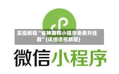 实操教程“雀神麻将小程序免费开挂器”(详细透视教程)-第2张图片