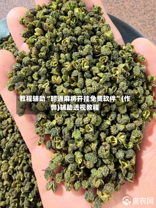 教程辅助“昭通麻将开挂免费软件”(作弊)辅助透视教程