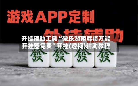 开挂辅助工具“微乐湖南麻将万能开挂器免费	”开挂(透视)辅助教程-第2张图片