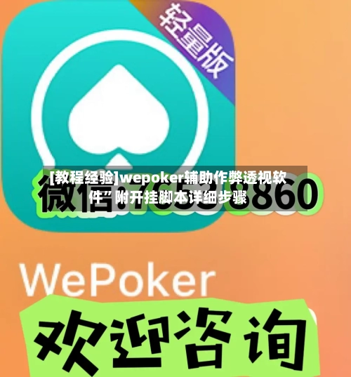 [教程经验]wepoker辅助作弊透视软件”附开挂脚本详细步骤-第3张图片