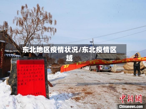 东北地区疫情状况/东北疫情区域