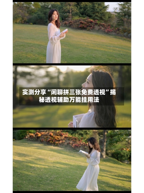 实测分享“闲聊拼三张免费透视”揭秘透视辅助万能挂用法-第2张图片