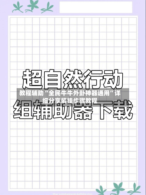 教程辅助“全民牛牛外卦神器通用”详细分享装挂步骤教程-第2张图片